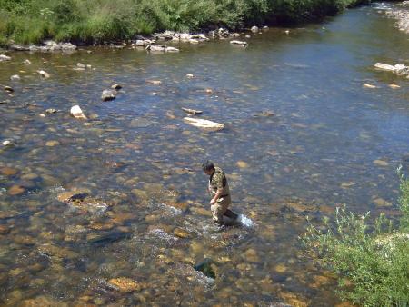 Re: ¡¡Toca limpiar!!